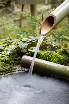 Water flowing from bamboo pipe