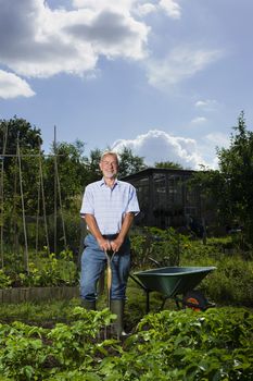 Senior man gardening portrait