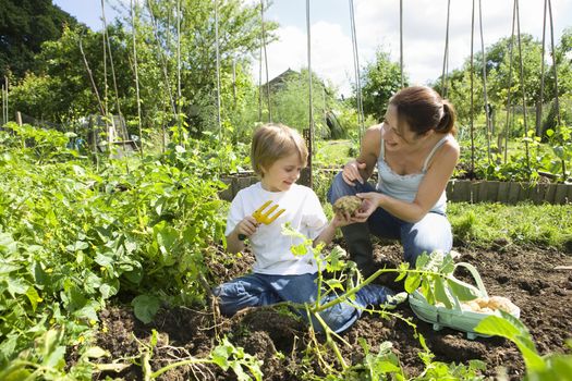 Mother gardening with son