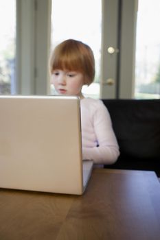 Young girl (5-6) using laptop concentrated