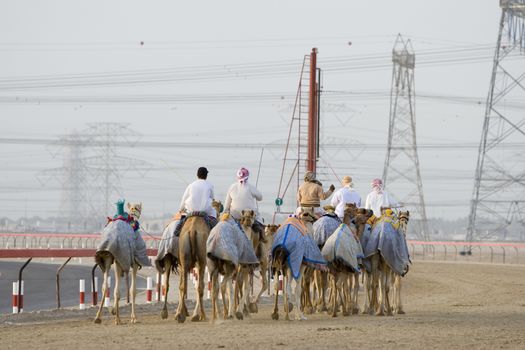 Dubai UAE Camels and jockeys training at Nad Al Sheba Camel Racetrack at sunset