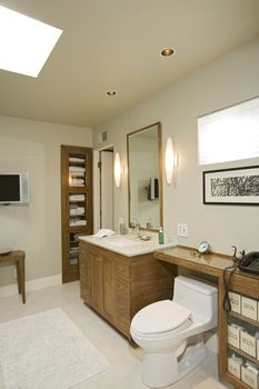 Luxury interior design bathroom