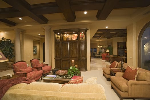 Luxury interior design living room
