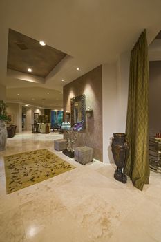 Luxurious residence interior
