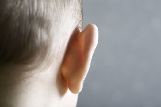 Closeup rear view of a baby's ear against gray background