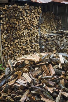 Abundance Of Chopped Firewood