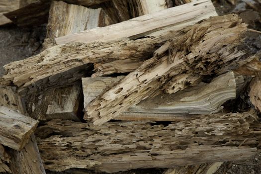 Close-up view of weathered driftwood