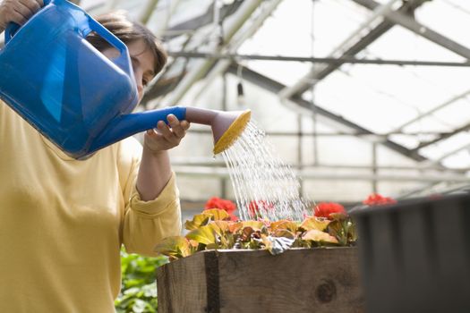 Woman watering flowers in greenhouse
