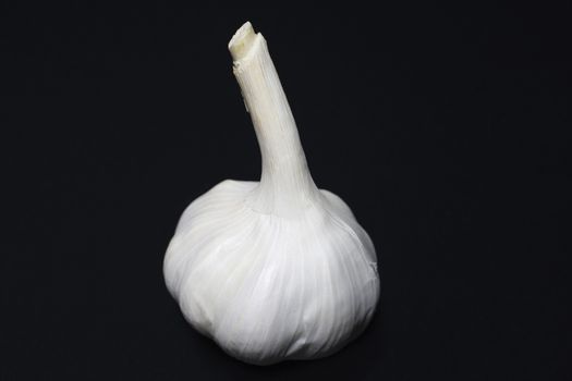 Bulb Of Garlic