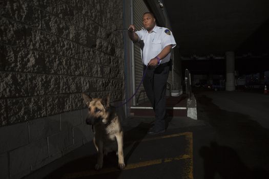 Security guard in alleyway pursuit with guard dog
