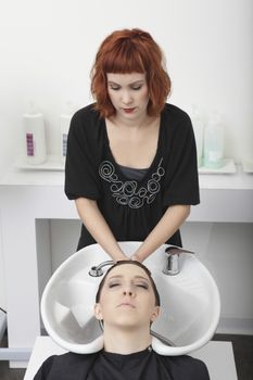Hairdresser shampooing female client in salon basin