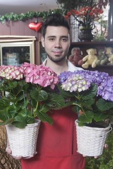 Florist stands with two hydrangea