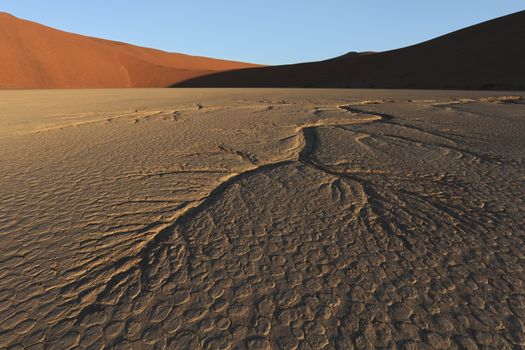 Dead Vlei  Namib Desert  Namibia