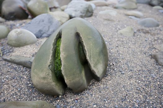 Weathered grooves in a stone, Ballinskellig beach, Ireland