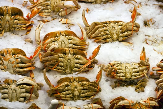 Crabs on display at fish market