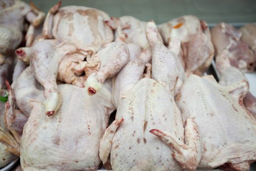 Raw chickens in supermarket