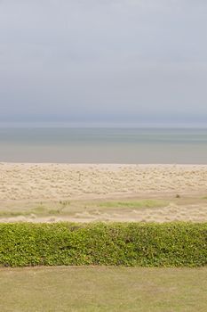 Sand dunes on Norfolk Coastline  
