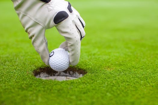 Man's hand putting a golf ball into hole on the green field