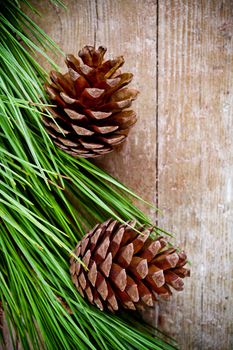 christmas fir tree with pinecones 