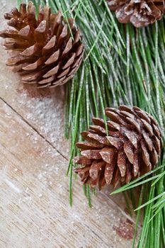 christmas fir tree with pinecones