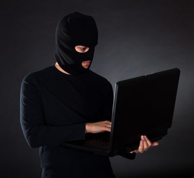Burglar on Computer