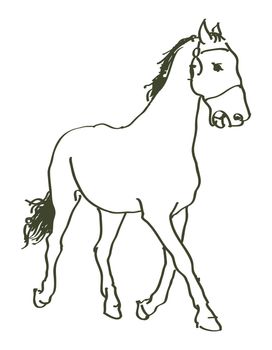 hand drawn horse - vector illustration