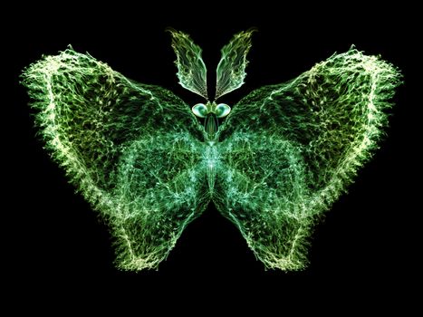 Butterfly Visualization