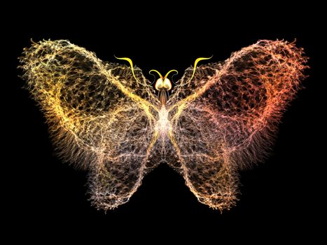 Butterfly Visualization
