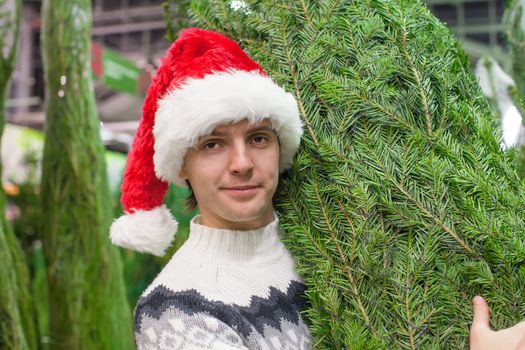 Young man choose a Christmas tree in the store