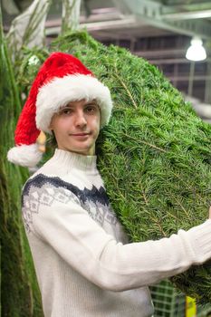 Young man in Santa hat choose christmas tree