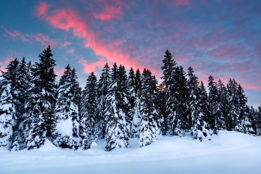 Beautiful Sunrise near Madonna di Campiglio Ski Resort, Italian 