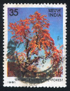 INDIA - CIRCA 1981: stamp printed by India, shows forest, circa 1981