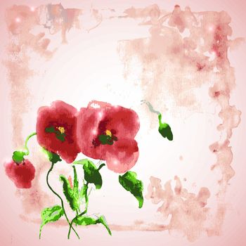 Background for a label with flowers poppy watercolor