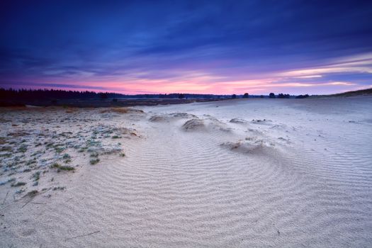 sand texture on dune at sunrise