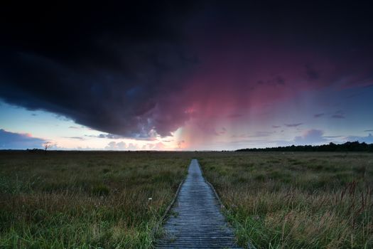 dramatic thunderstorm over path through swamps