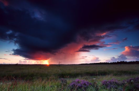 dramatic thunderstorm over heathland