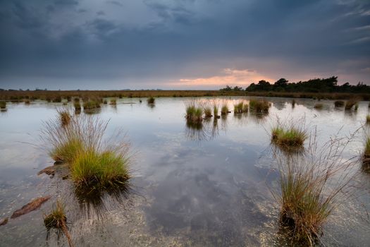 rainy sunset over swamps