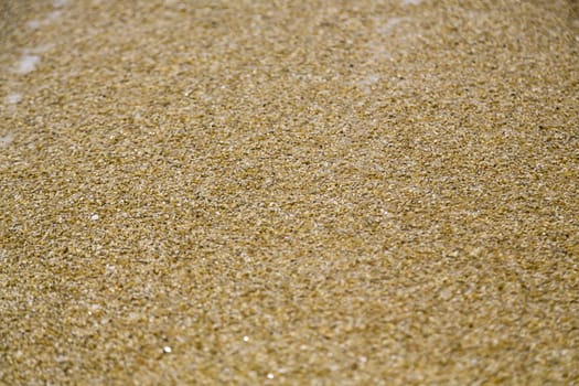 close up of ocean sand for background and composing