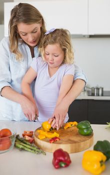 Mother assisting girl in chopping capsicum