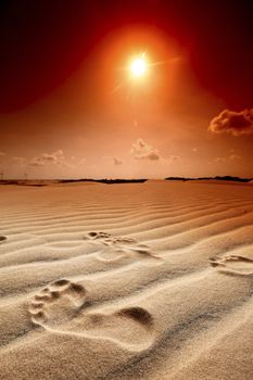 Footprints on sand dune