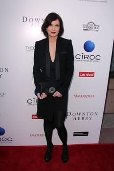 Elizabeth McGovern
at "An Evening with Downton Abbey," Leonard H. Goldenson Theater, North Hollywood, CA 06-10-13/ImageCollect
