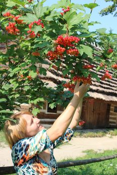 girl with clustered red guelder-rose besides an old rural house