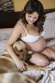 Pregnant Mother Relaxing On bed with labrador retriever, dog, To
