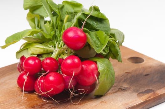 Fresh radishes from ground on old wooden board