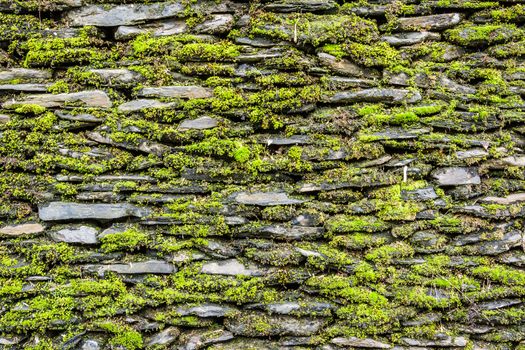 Stone wall with green moss