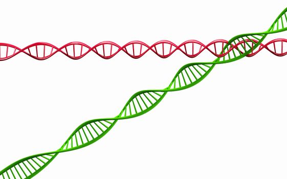 3d render ,Model of twisted DNA chain isolated on white background High resolution.