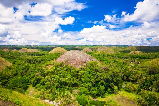 Green unusual Chocolate Hills in Bohol, Philippines