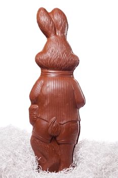 Back of a Tall chocolate bunny isolated on white background