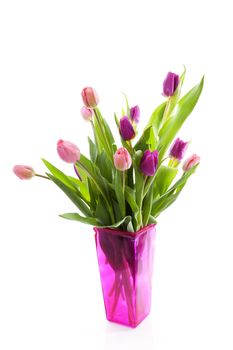 Bouquet of pink Dutch tulips in vase