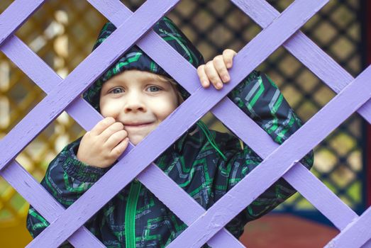 little baby boy  looking through blue fence